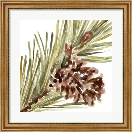 Framed Simple Pine Cone I Print