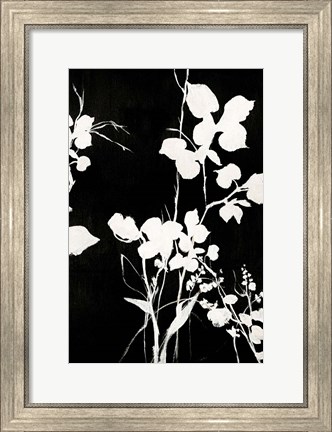 Framed Silhouette Leaves 1 Print
