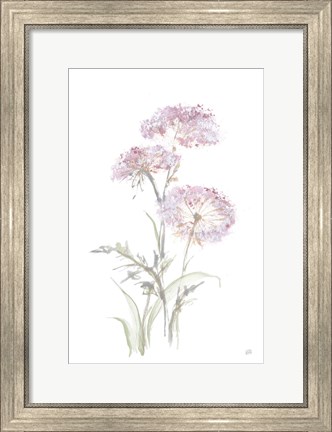 Framed Tall Queen Annes Lace III Print
