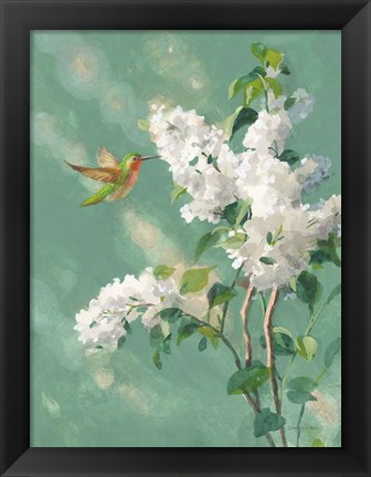 Framed Hummingbird Spring I Print