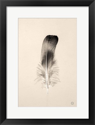 Framed Floating Feathers IV Sepia Print