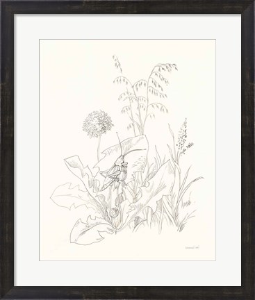 Framed Nature Sketchbook VII Print
