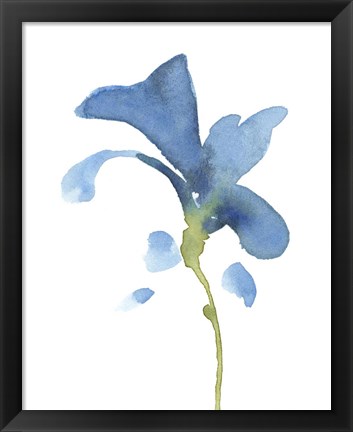Framed Striking Blue Iris V Print