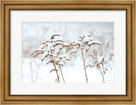 Framed Snowy Gardens Print
