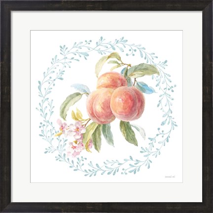 Framed Blooming Orchard III Print