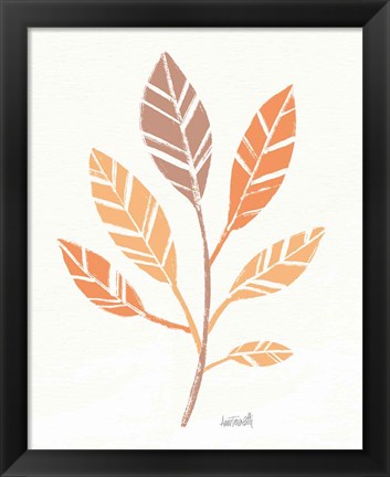 Framed Botanical Sketches III Spice Print