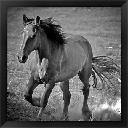 Framed Horse Runner Print