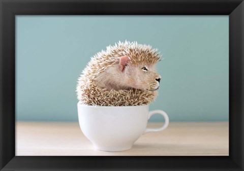 Framed Lion in a Cup Print