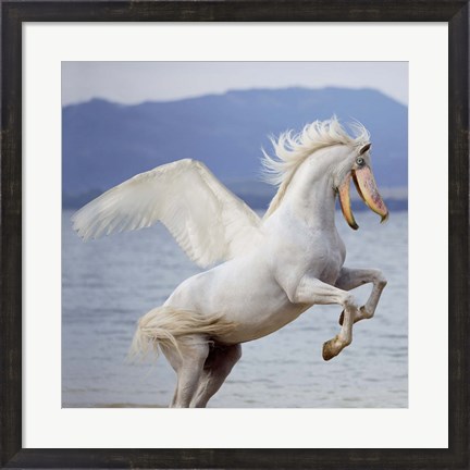 Framed Shoebill Horse Print