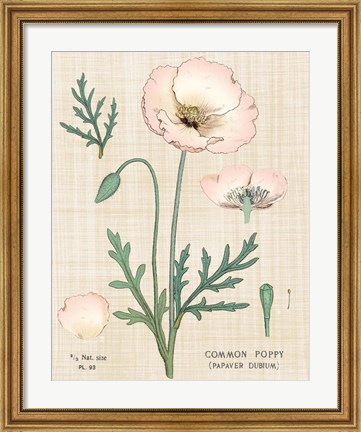 Framed Poppy Chart Linen Print