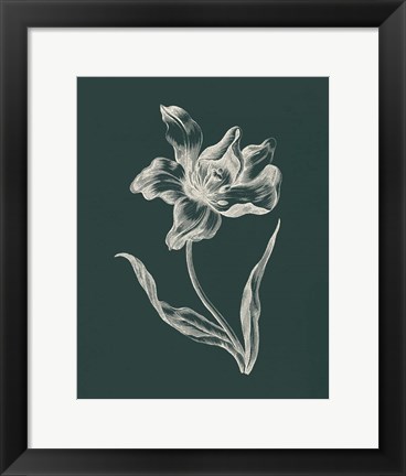 Framed Eden Tulips I Print