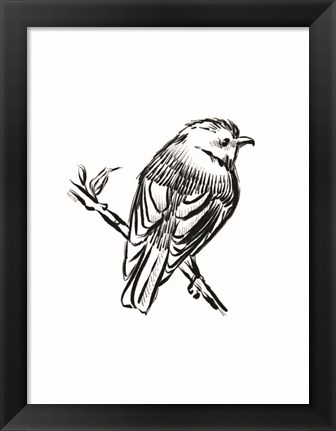 Framed Songbird Sketch I Print