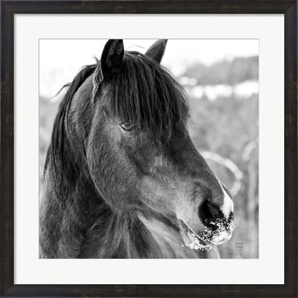 Framed Winter Horse I Print