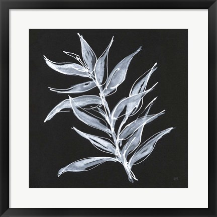Framed White Fern II Print