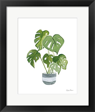 Framed Green House Plants II Print