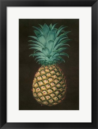 Framed Vintage Pineapple I Print