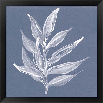 Framed Leaf Study IV Blue Print