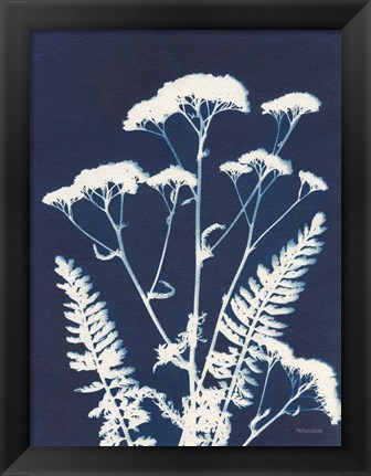Framed Alpine Flower I Print