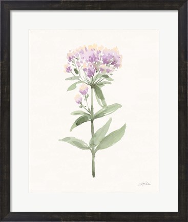 Framed Flowers of the Wild II Pastel Print