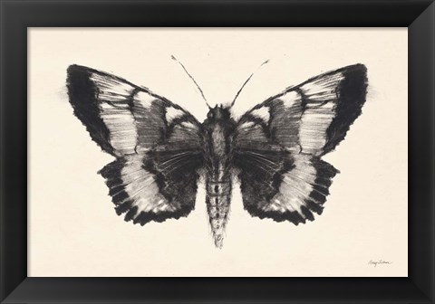Framed Moth V Print