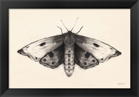Framed Moth I Print