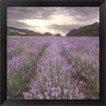 Framed Field of Lavender Print