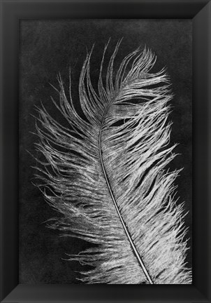 Framed Feather 3 Dark Print