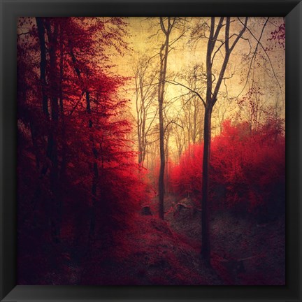 Framed Ruby Red Forest Print