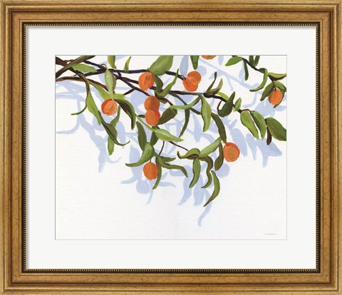 Framed Kumquats Print