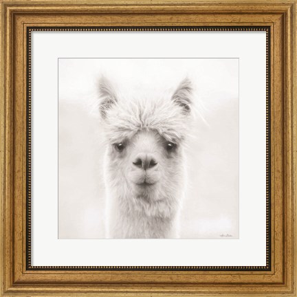Framed Chip the Alpaca Print