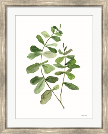 Framed Leafy Stem 2 Print