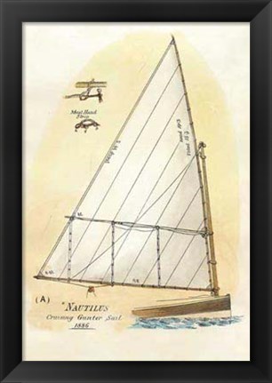 Framed Nautilus III Print