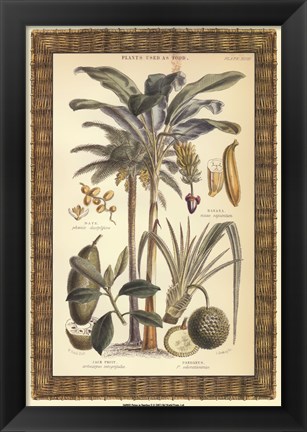 Framed Palms in Bamboo II Print