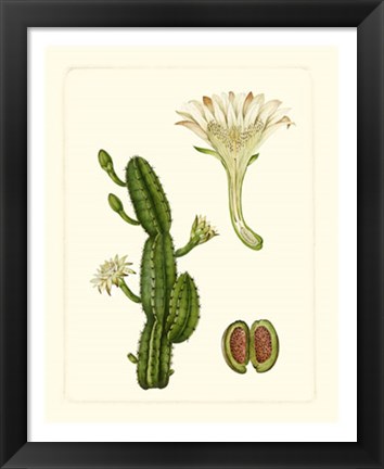 Framed Exotic Flora V Print