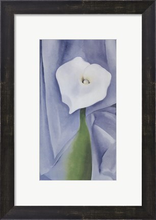 Framed Calla Lily on Grey, 1928 Print