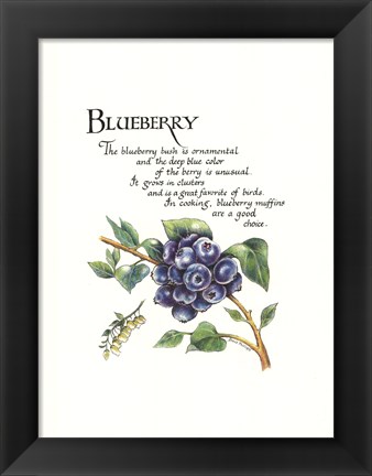 Framed Blueberry Print