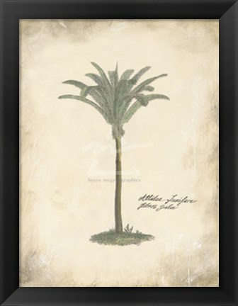 Framed Fibres Palm Print