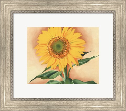 Framed Sunflower from Maggie, 1937 Print