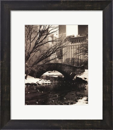 Framed Central Park Bridges IV Print
