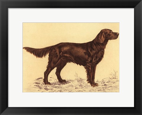 Framed Hunting Dogs-Setter Print