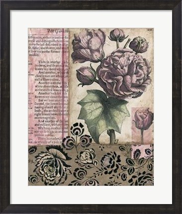 Framed Cottage Rose II Print