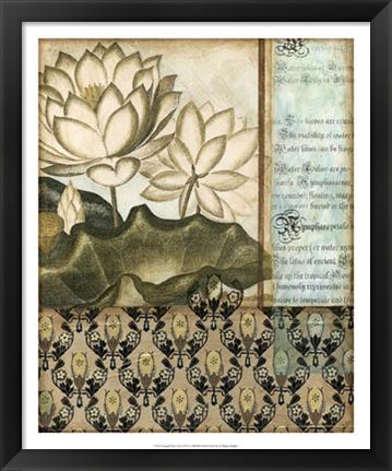 Framed Elegant Water Lily II Print