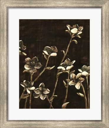 Framed Blossom Nocturne II Print