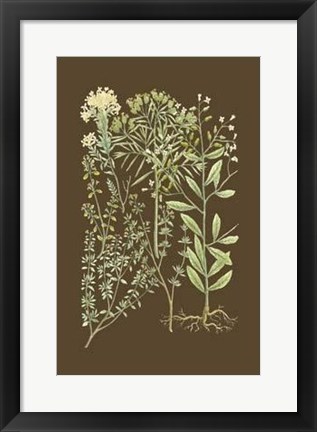 Framed Organic Greenery III Print