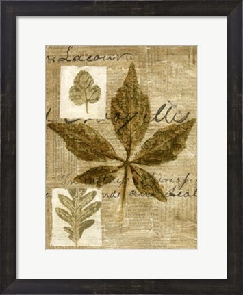 Framed Leaf Collage III Print