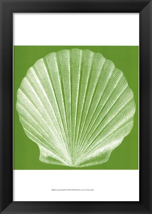 Framed Saturated Shells II Print
