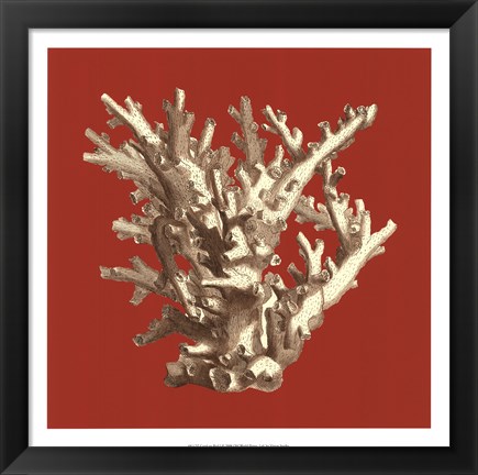 Framed Coral on Red I Print