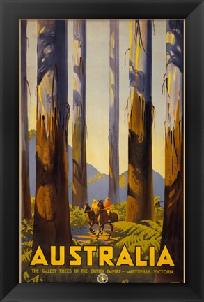 Framed Australia - Tallest Trees Print