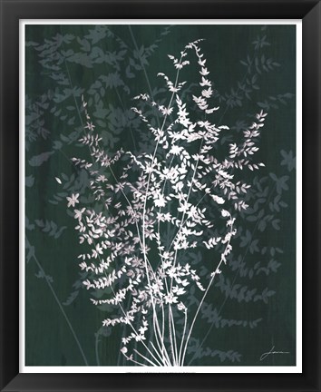 Framed Jewel Ferns II Print