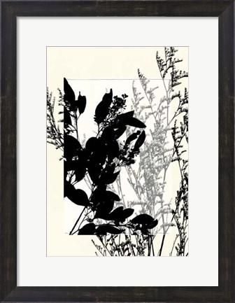 Framed Sm Translucent Wildflowers IX Print